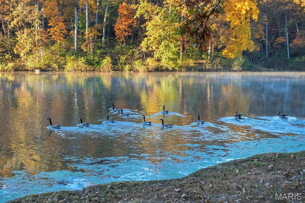 16480 Walnut Rail Road Chesterfield, MO 63005 - Photo 58 of 63