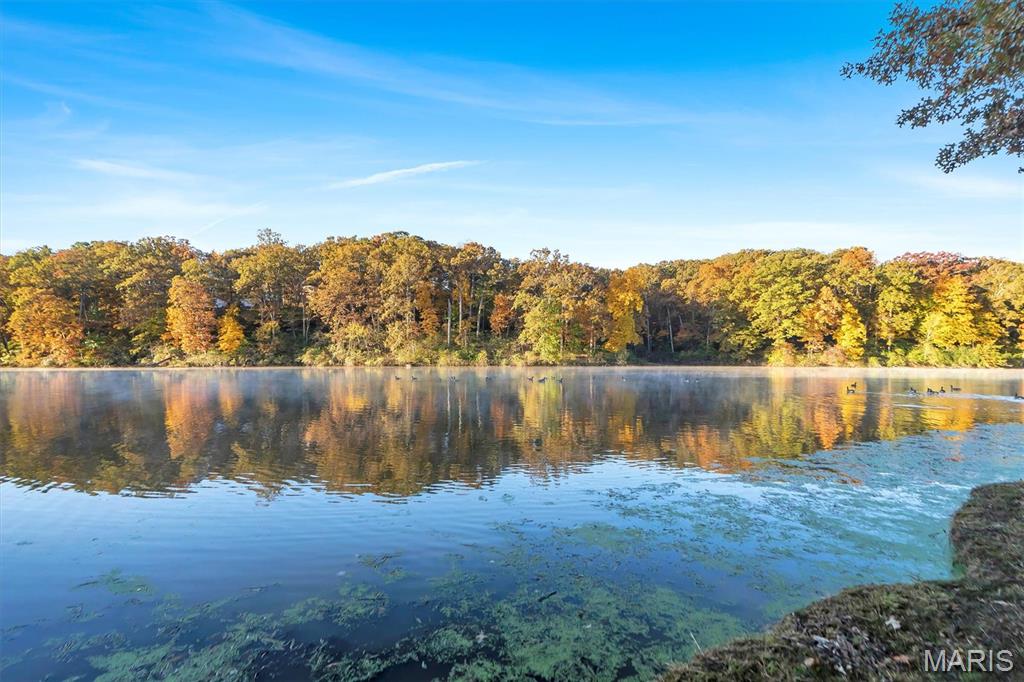 16480 Walnut Rail Road Chesterfield, MO 63005 - Photo 59 of 63