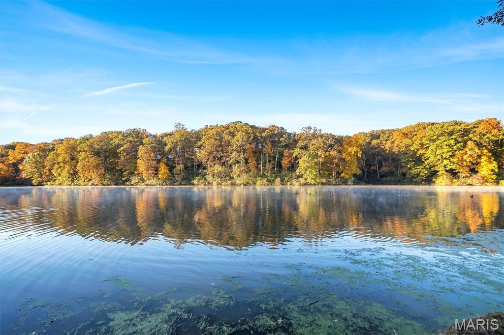 16480 Walnut Rail Road Chesterfield, MO 63005 - Photo 61 of 63