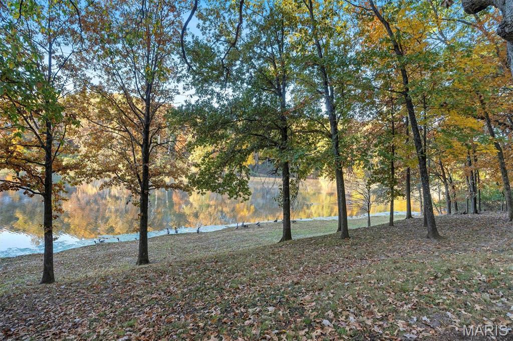 16480 Walnut Rail Road Chesterfield, MO 63005 - Photo 62 of 63