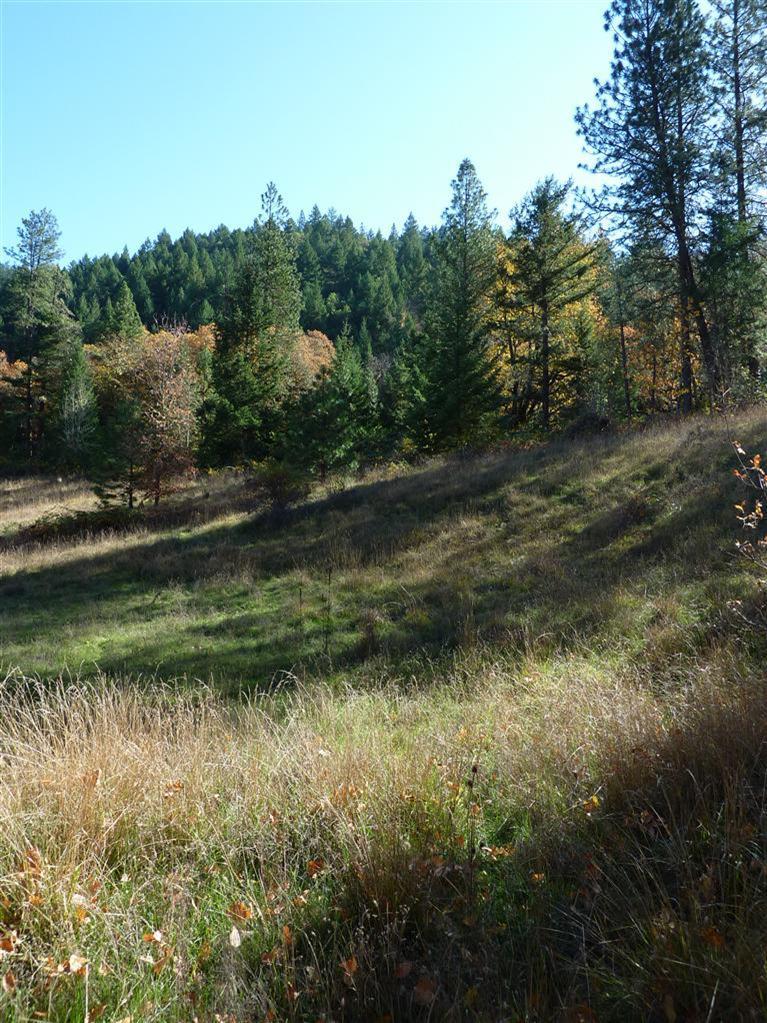 4477 Thompson Creek Road Jacksonville, OR 97530 - Photo 3 of 13 Additional Photo