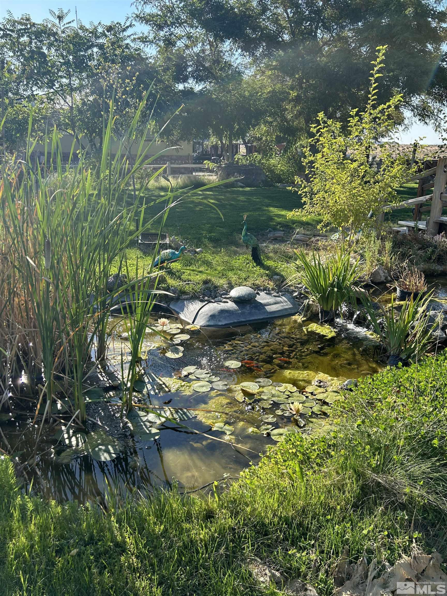 13200 Carson Highway Fallon, NV 89406 - Photo 3 of 35 a view of lake