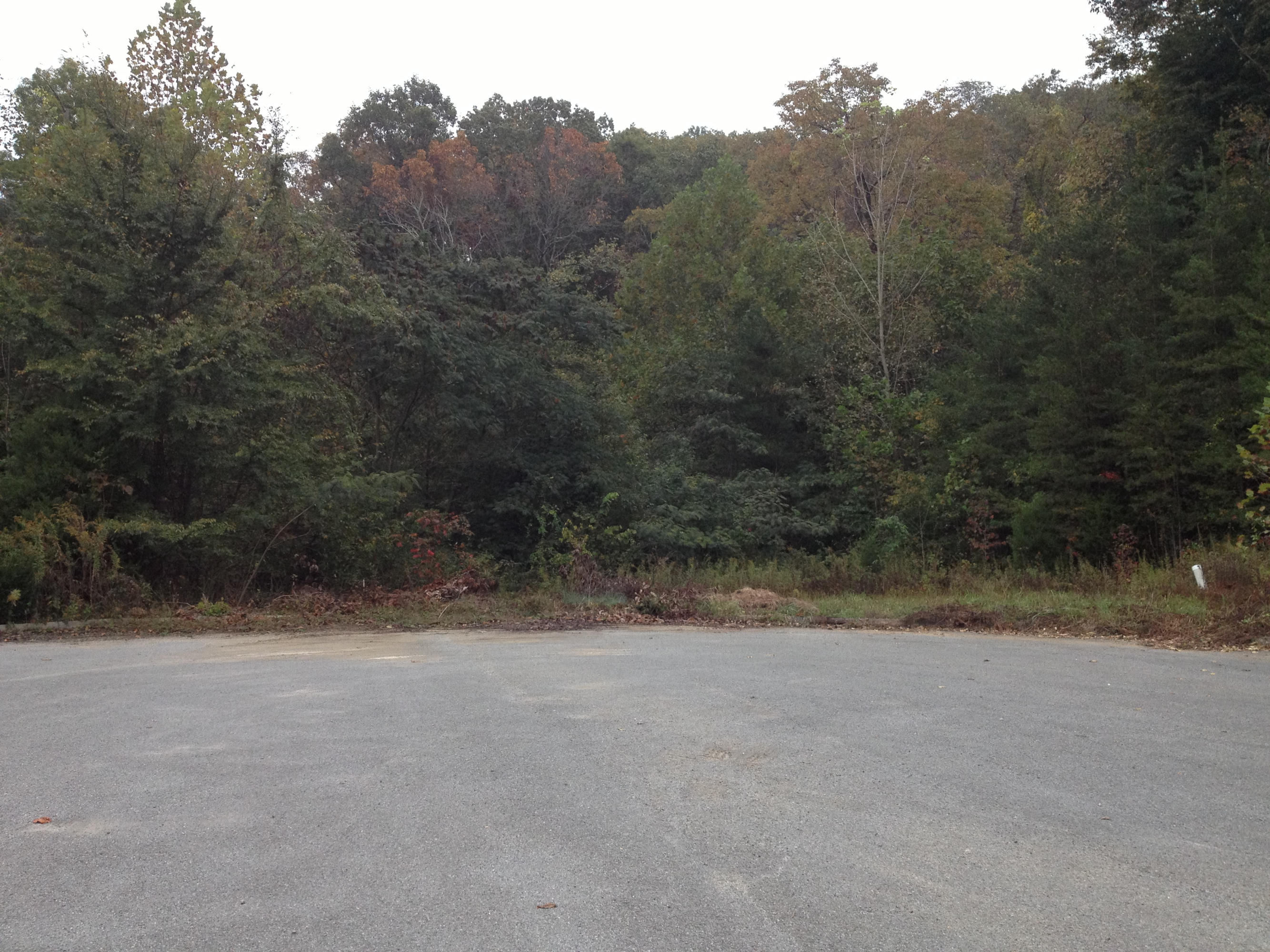 Pinnacle Way Oak Ridge, TN 37830 - Photo 2 of 5 IMG_1771
