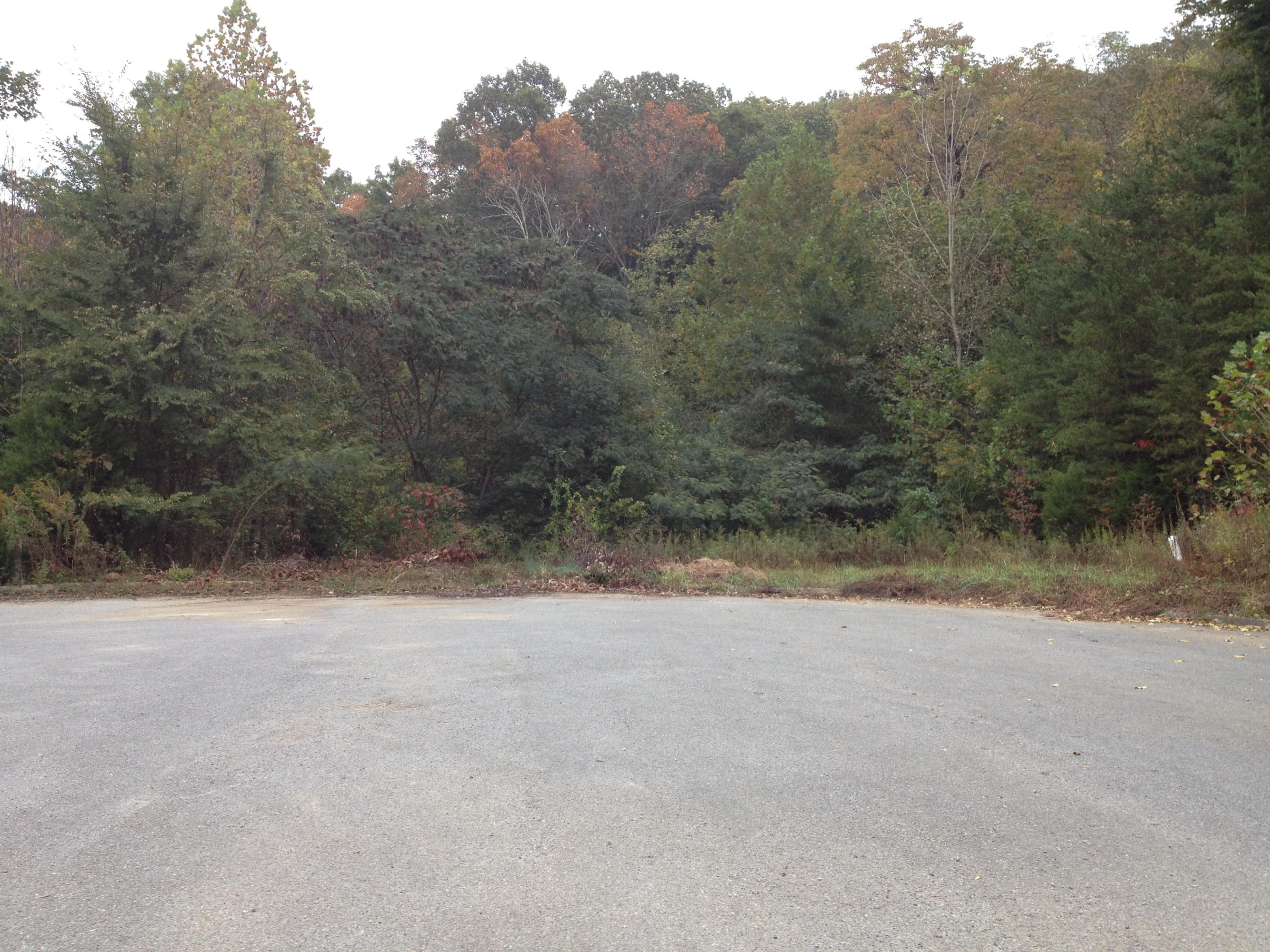 Pinnacle Way Oak Ridge, TN 37830 - Photo 3 of 5 IMG_1770