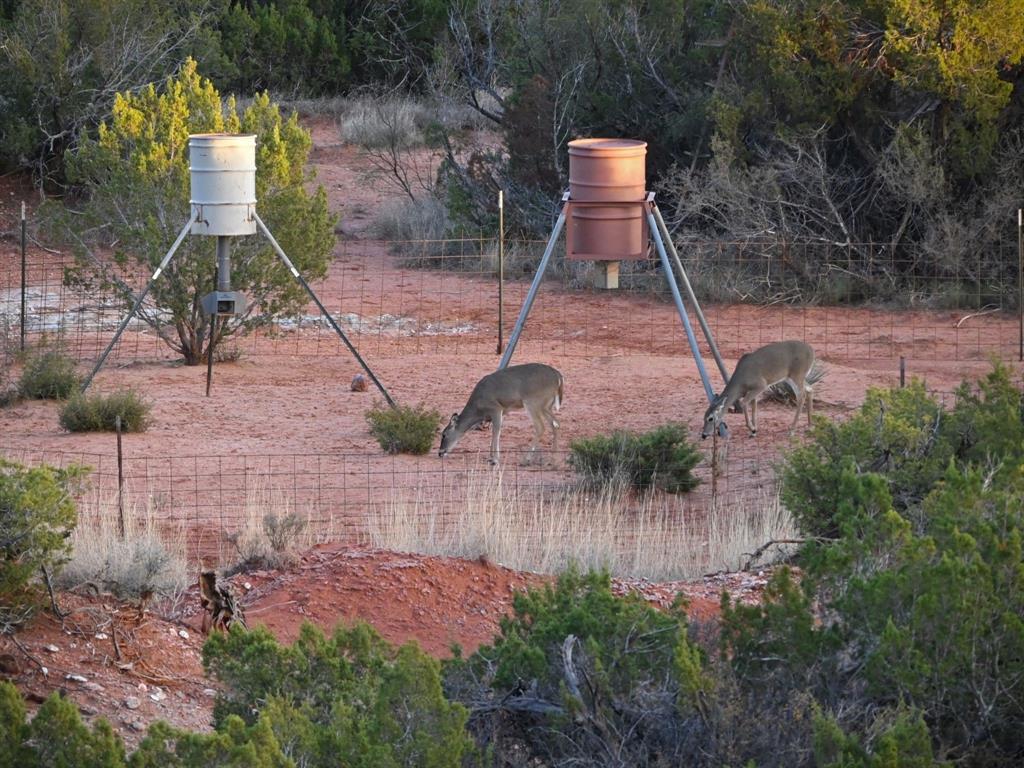 1 County Road 3600 Crowell, TX 79227 - Photo 1 of 1 a backyard of a house with table and chairs