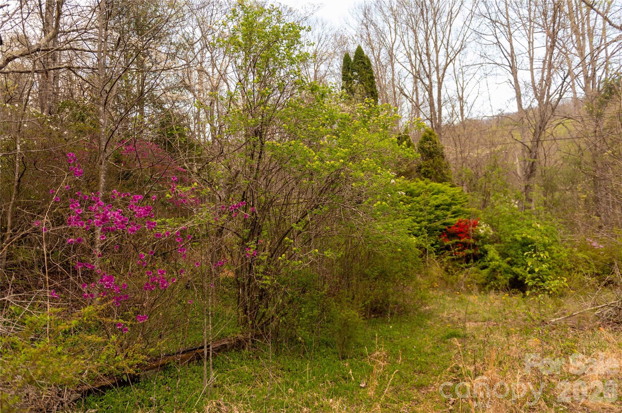 99 Banjo Branch Road Burnsville, NC 28714 - Photo 11 of 42