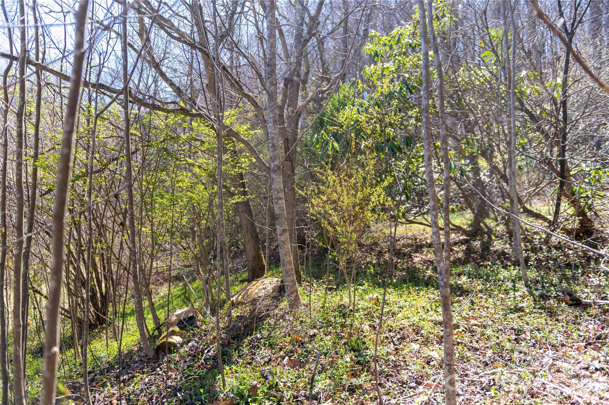 99 Banjo Branch Road Burnsville, NC 28714 - Photo 12 of 42