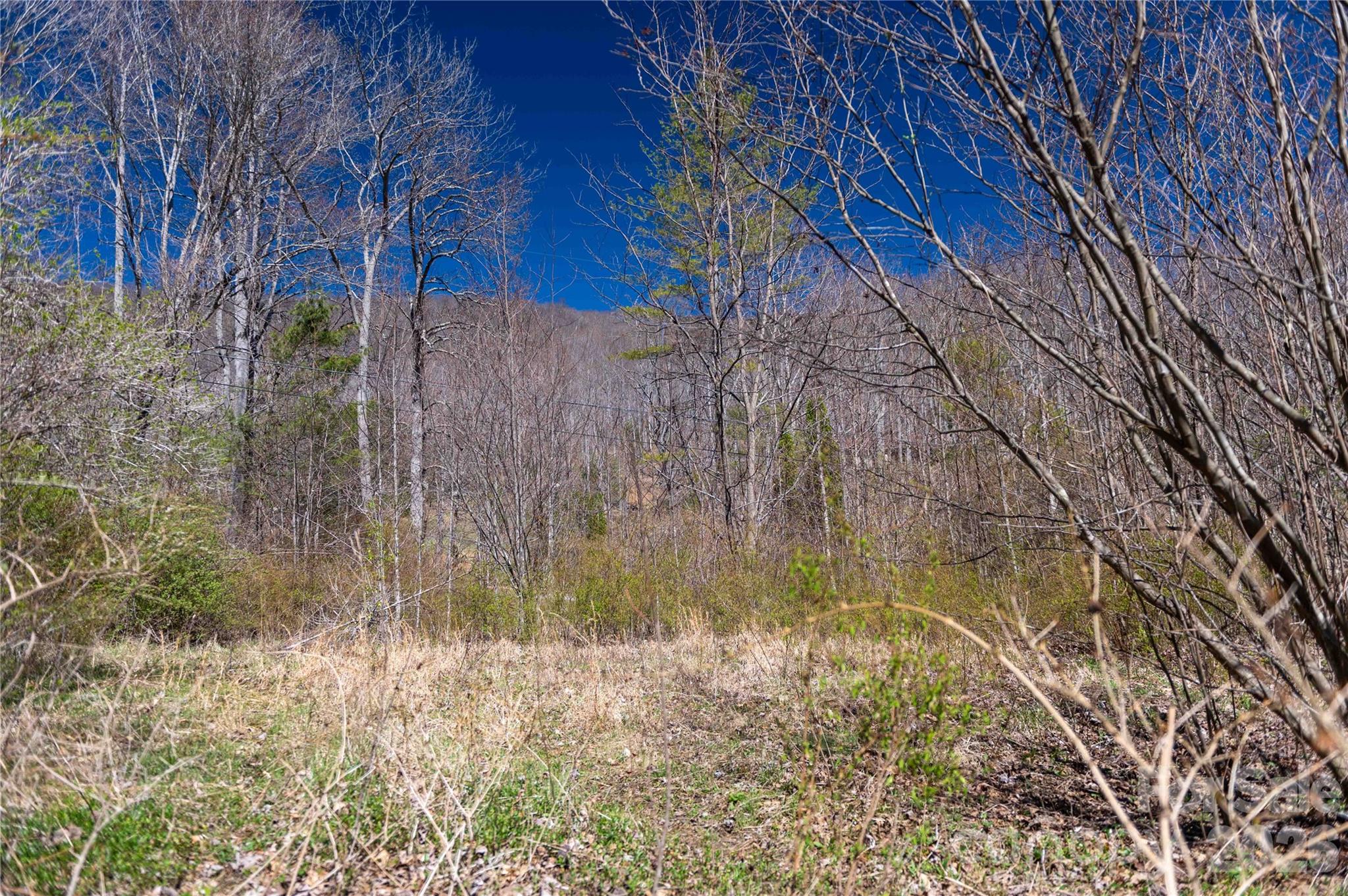99 Banjo Branch Road Burnsville, NC 28714 - Photo 14 of 42 a view of backyard of a house