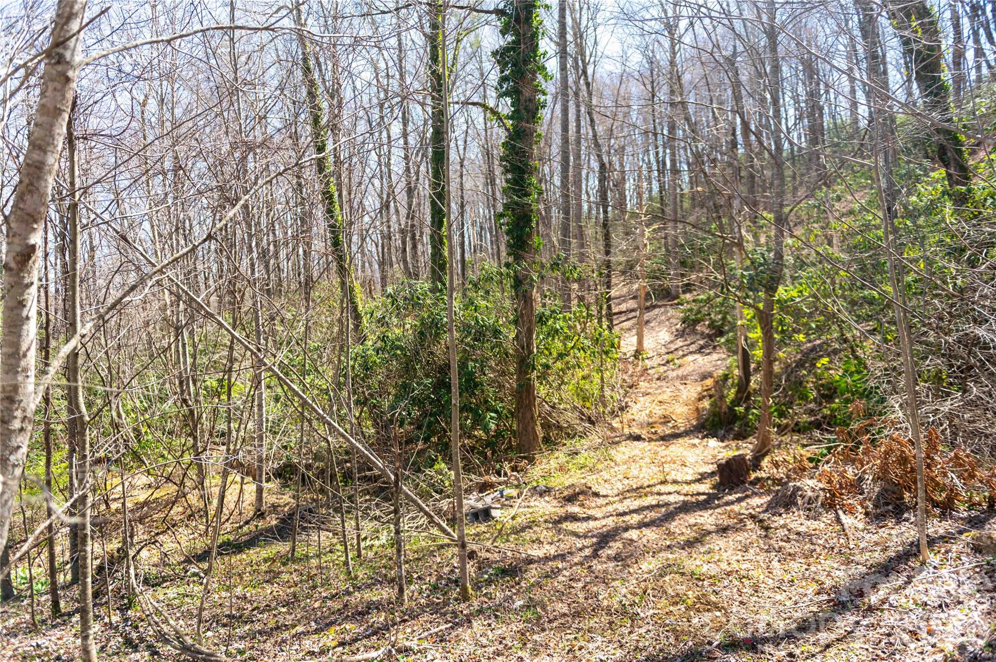 99 Banjo Branch Road Burnsville, NC 28714 - Photo 18 of 42