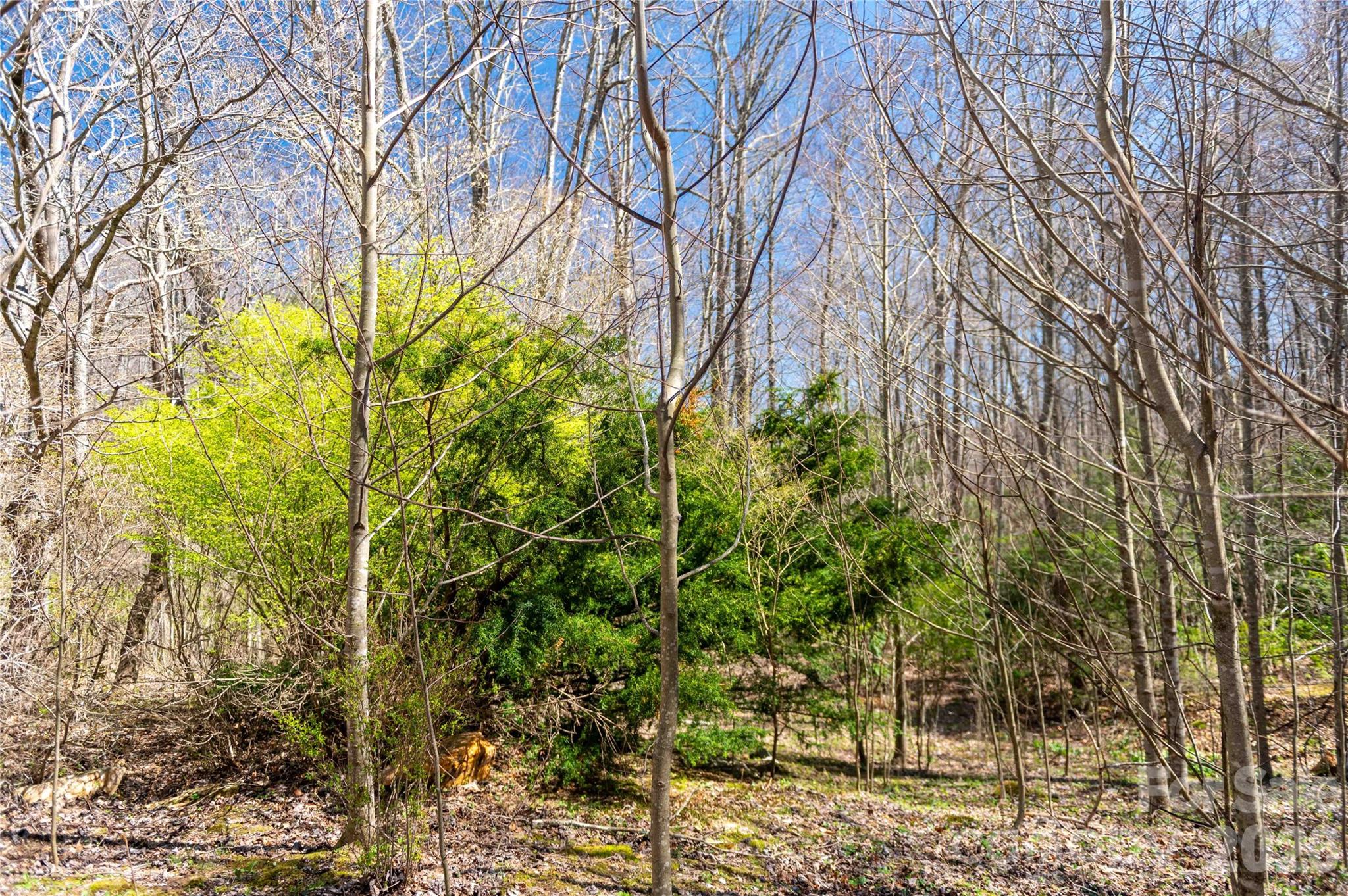 99 Banjo Branch Road Burnsville, NC 28714 - Photo 19 of 42 a backyard of a house with lots of green space