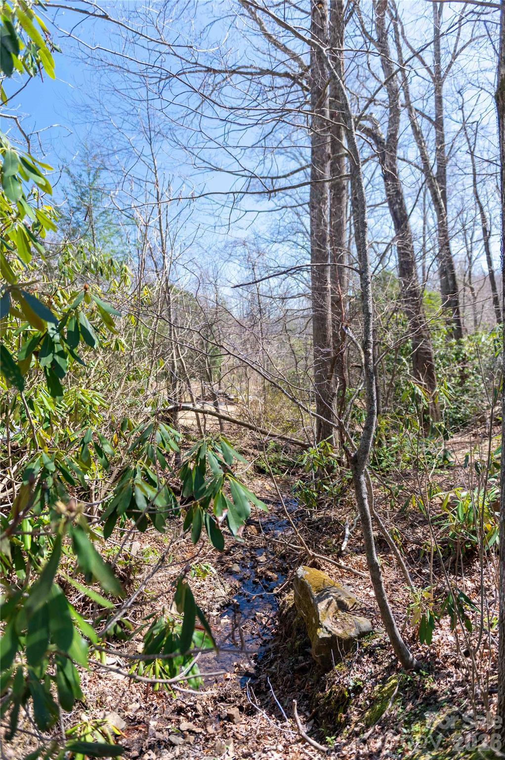 99 Banjo Branch Road Burnsville, NC 28714 - Photo 20 of 42