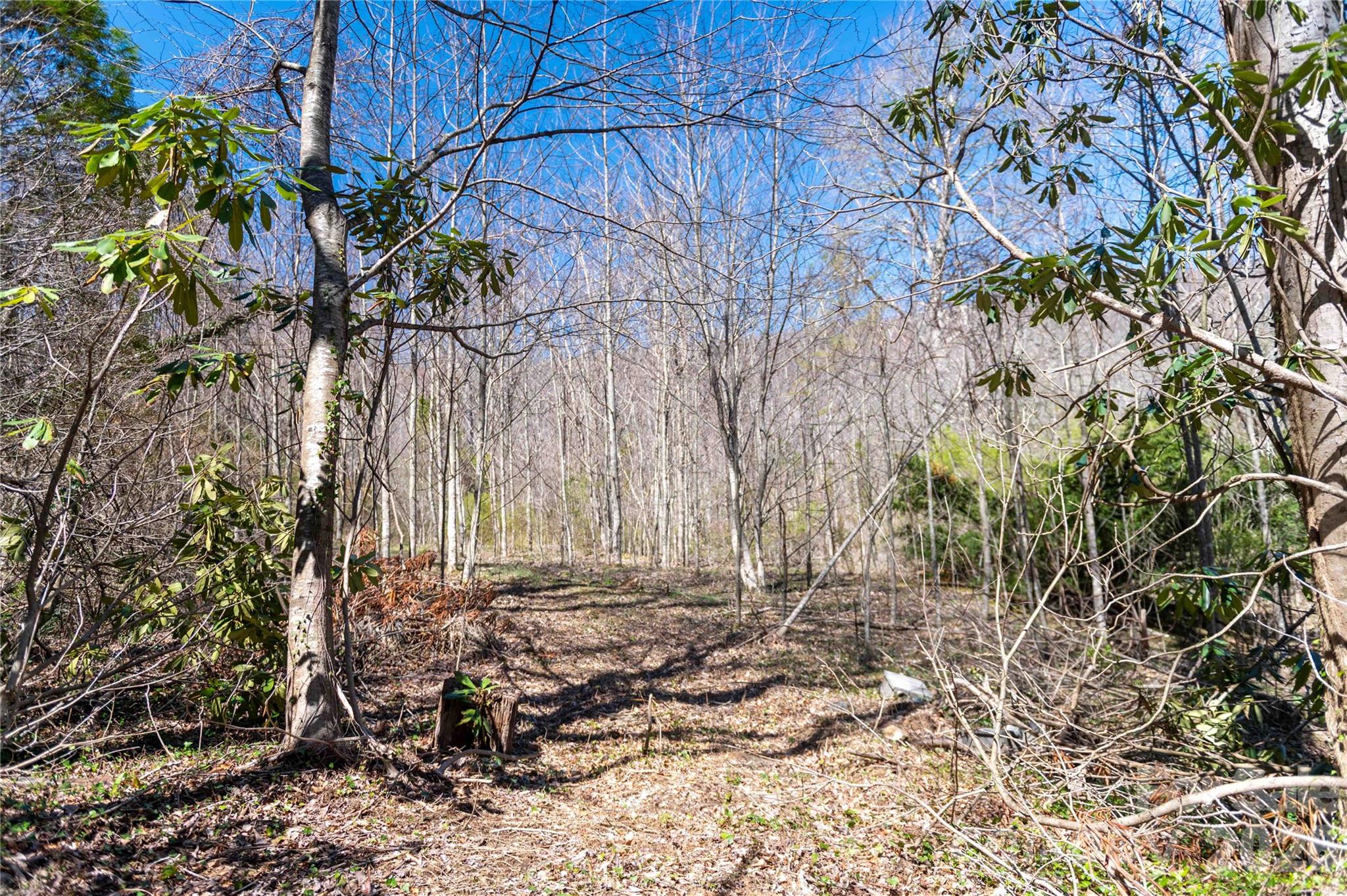 99 Banjo Branch Road Burnsville, NC 28714 - Photo 22 of 42