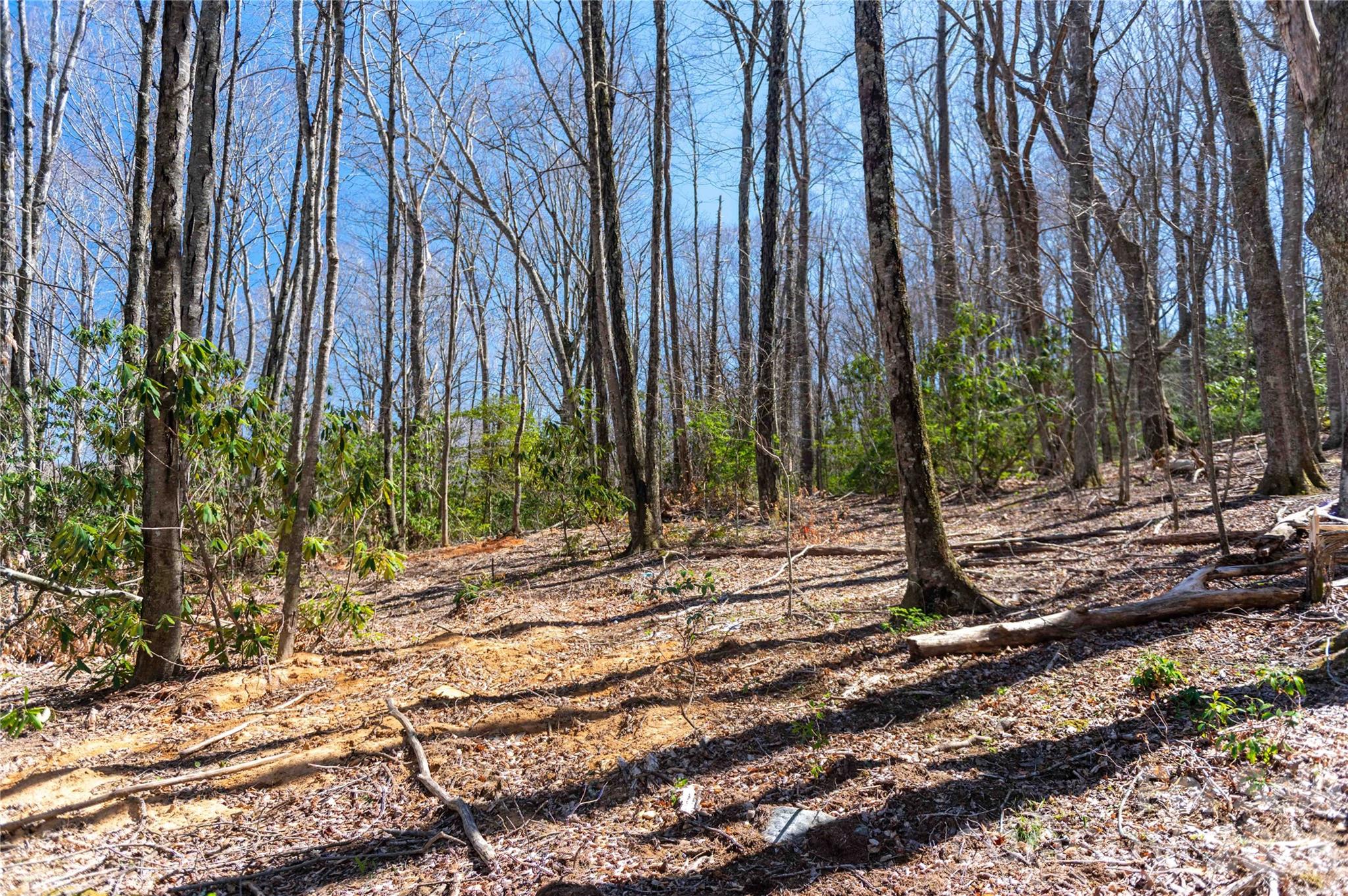 99 Banjo Branch Road Burnsville, NC 28714 - Photo 23 of 42