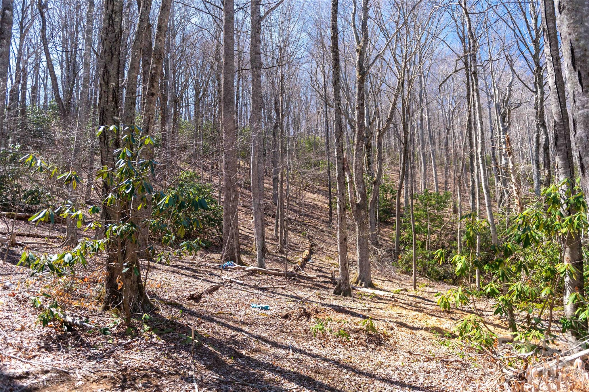 99 Banjo Branch Road Burnsville, NC 28714 - Photo 24 of 42