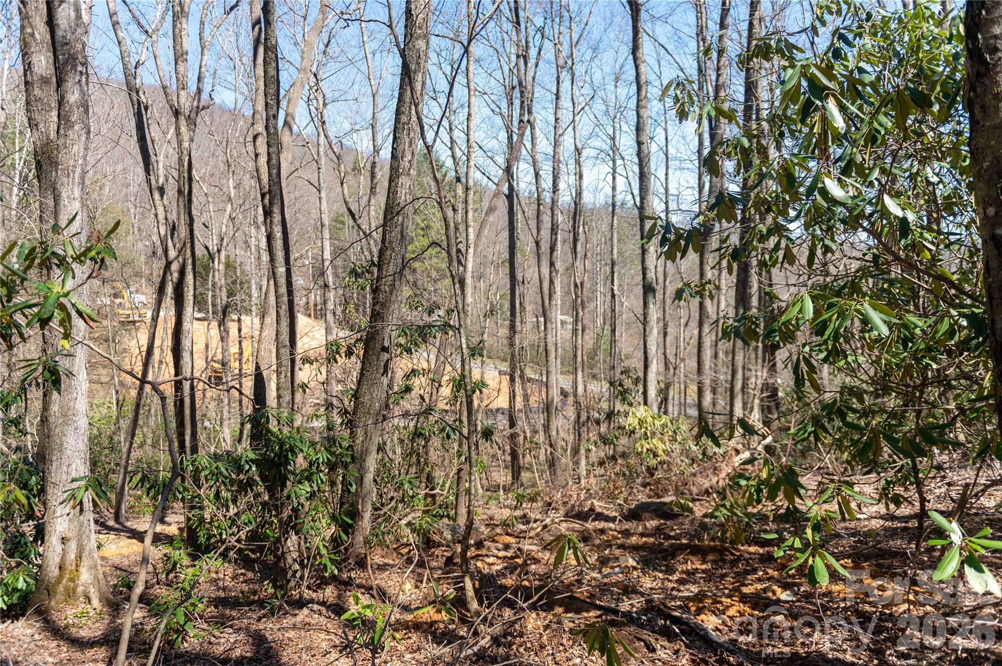 99 Banjo Branch Road Burnsville, NC 28714 - Photo 25 of 42 a view of forest