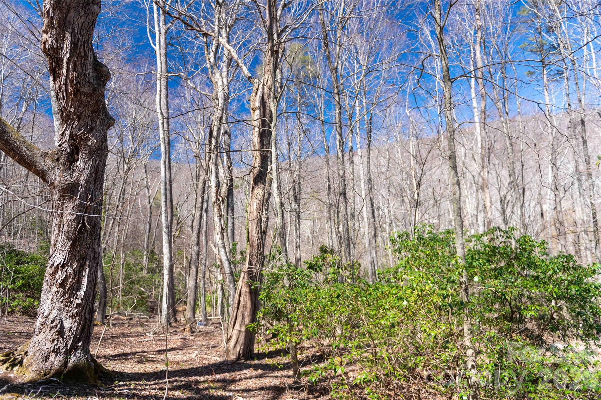 99 Banjo Branch Road Burnsville, NC 28714 - Photo 27 of 42