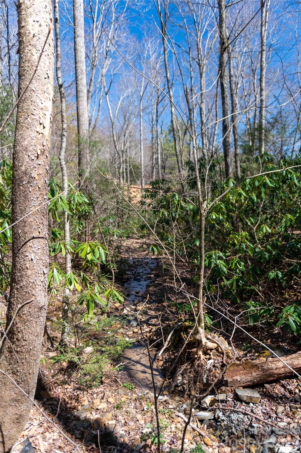 99 Banjo Branch Road Burnsville, NC 28714 - Photo 32 of 42