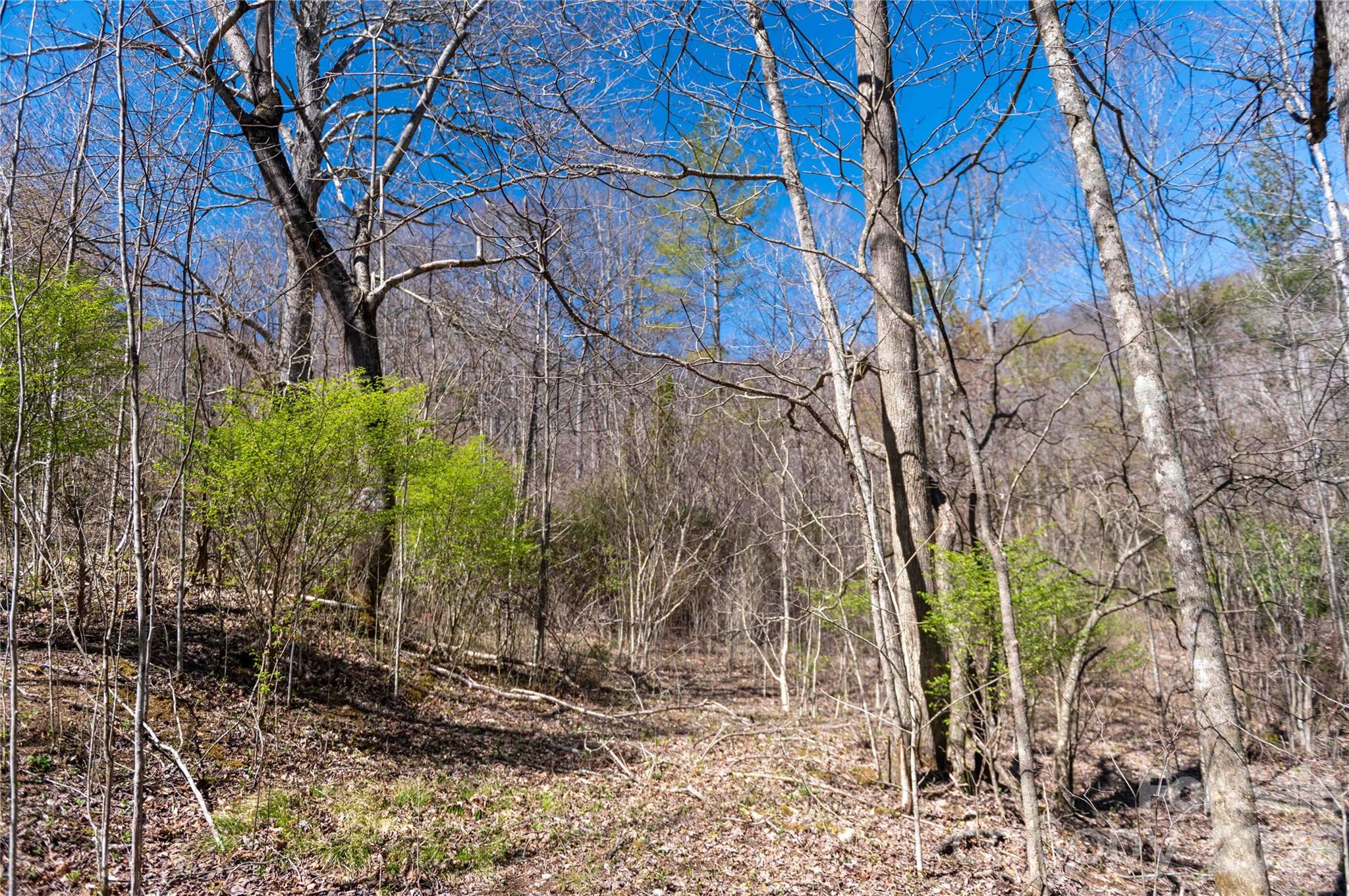 99 Banjo Branch Road Burnsville, NC 28714 - Photo 36 of 42 a backyard of a house with lots of green space