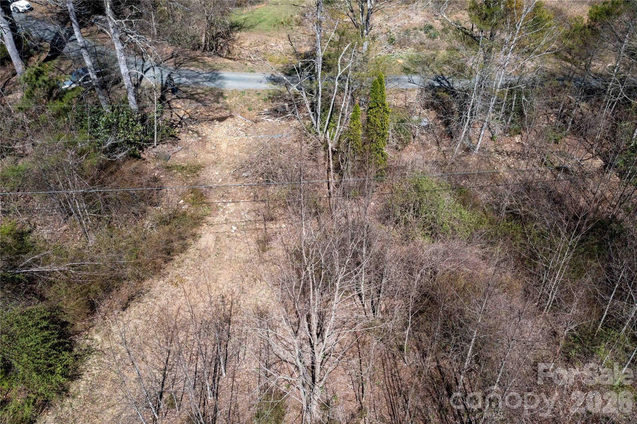 99 Banjo Branch Road Burnsville, NC 28714 - Photo 38 of 42 a view of a forest with lots of trees
