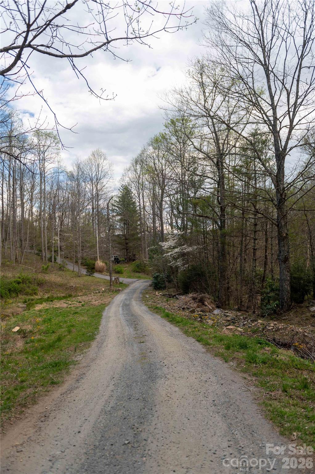 99 Banjo Branch Road Burnsville, NC 28714 - Photo 40 of 42 a backyard of a house with lots of green space