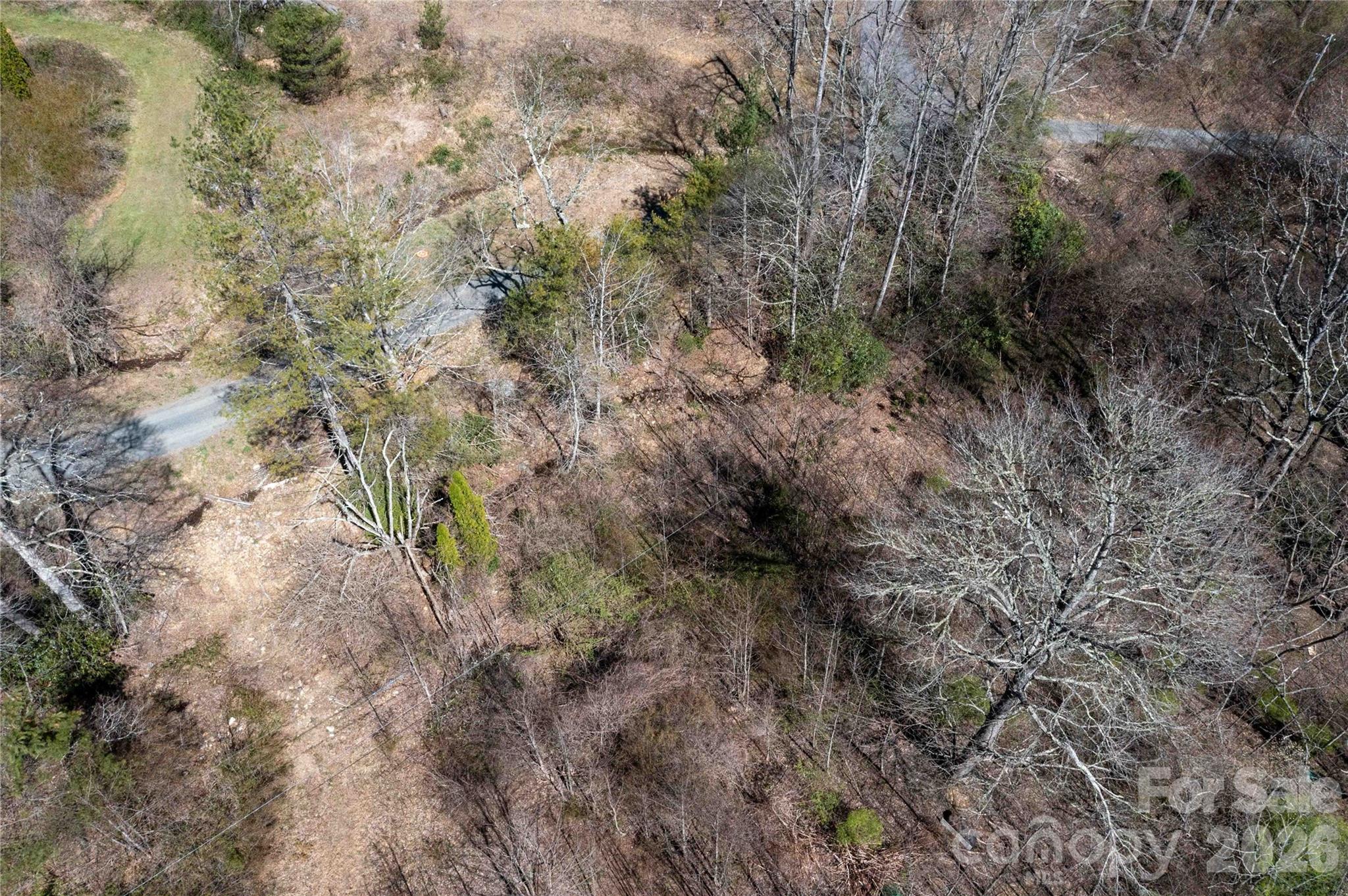 99 Banjo Branch Road Burnsville, NC 28714 - Photo 4 of 42 a view of a dry yard with lots of bushes