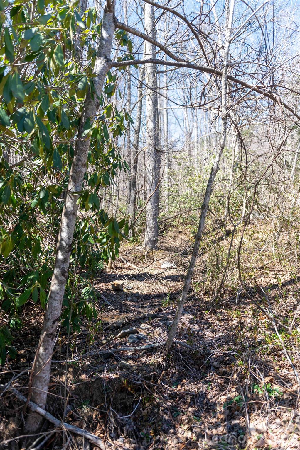 99 Banjo Branch Road Burnsville, NC 28714 - Photo 6 of 42 a backyard of a house with lots of green space