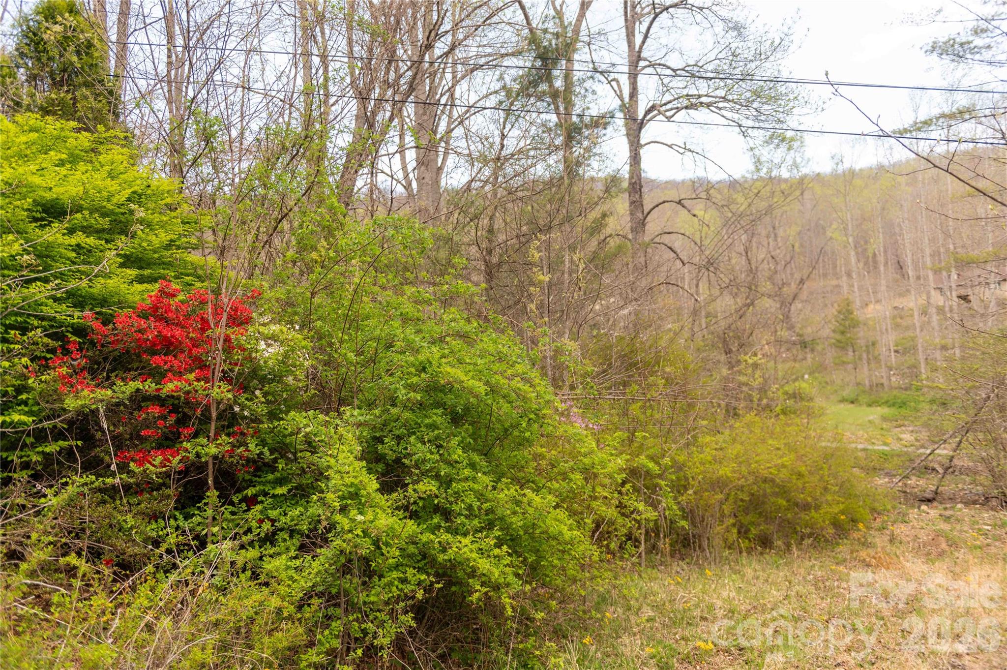 99 Banjo Branch Road Burnsville, NC 28714 - Photo 8 of 42