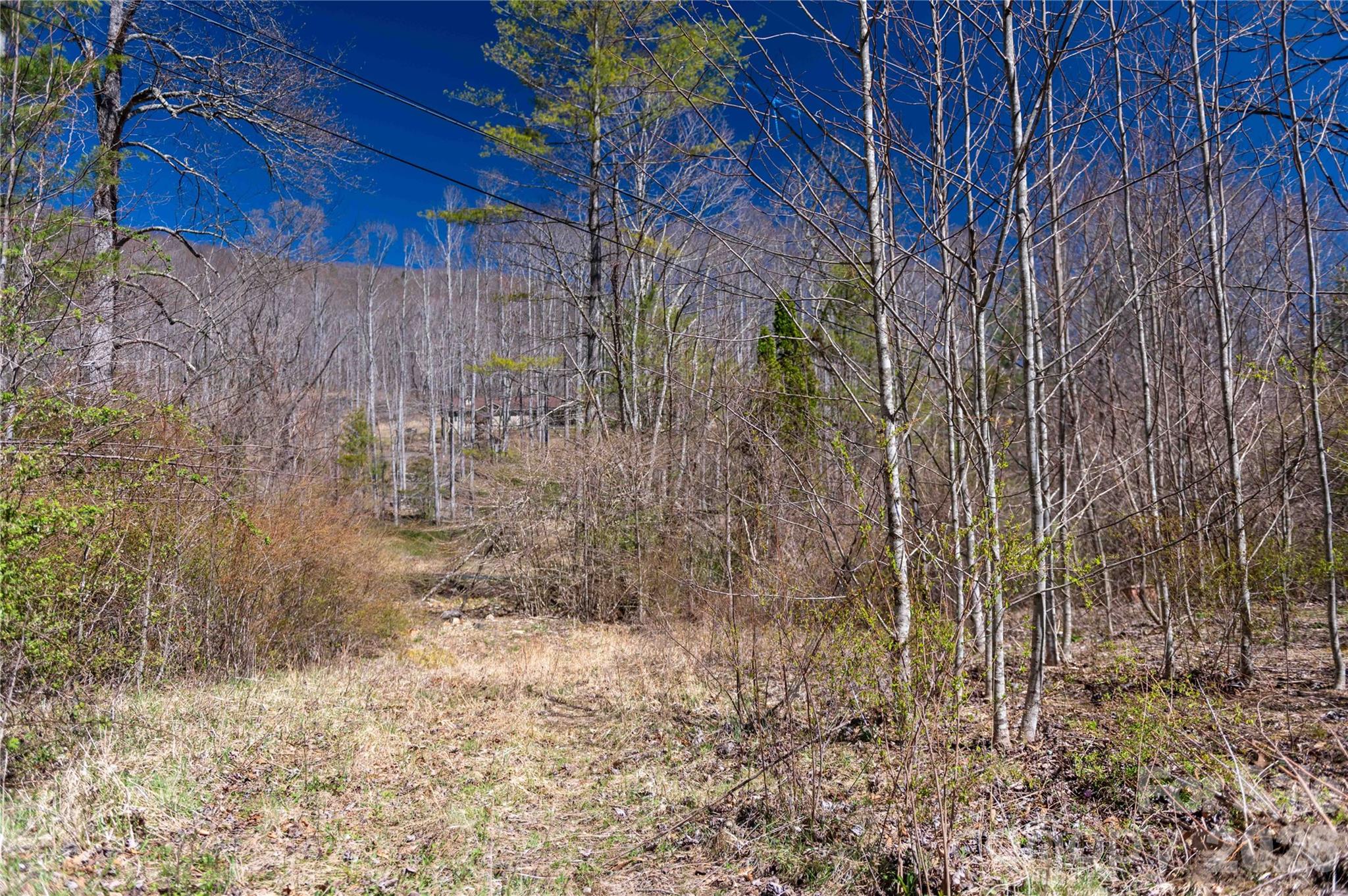 99 Banjo Branch Road Burnsville, NC 28714 - Photo 10 of 42 a view of a backyard of the house