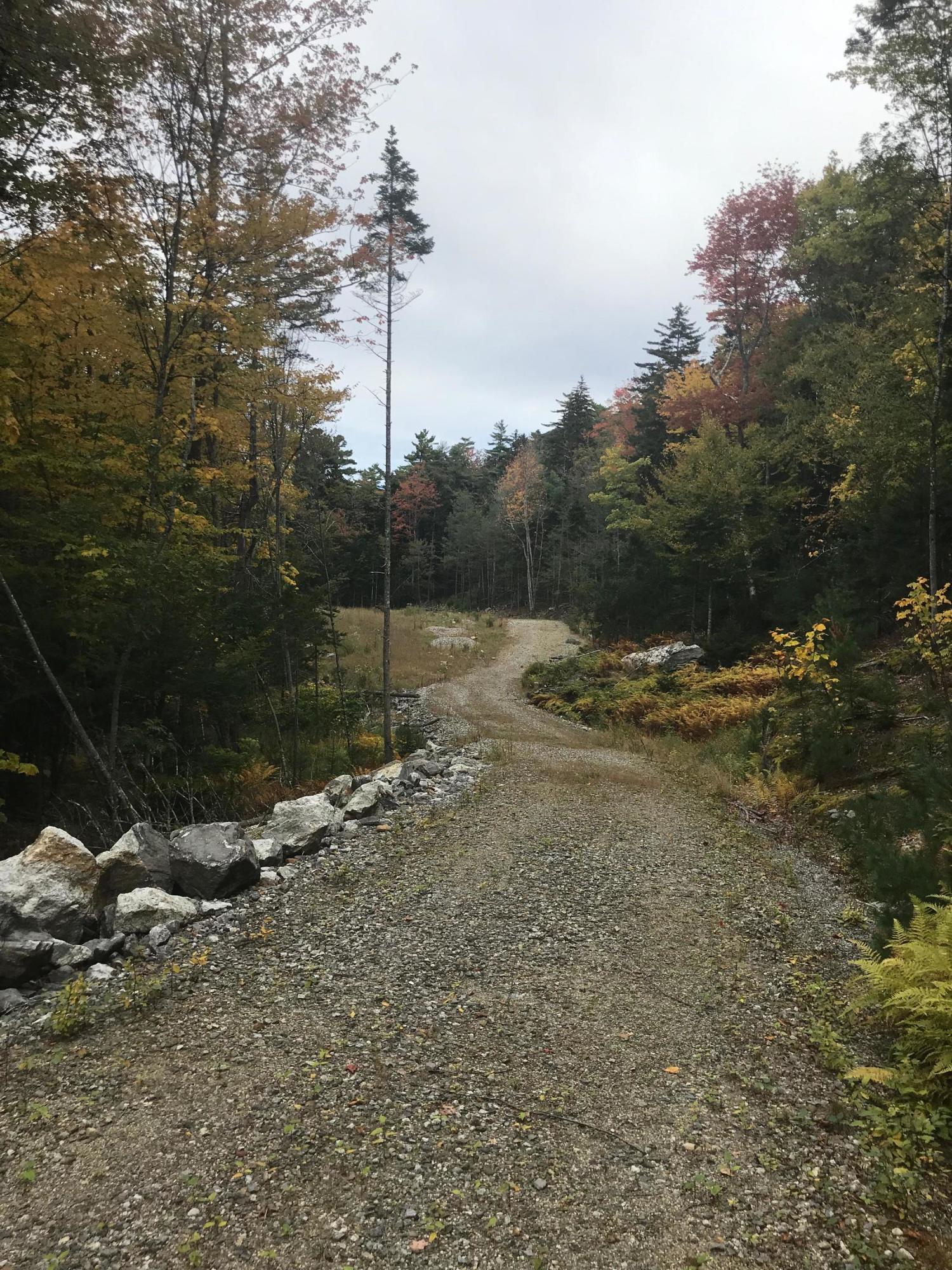 0 Holly Hill Road Harpswell, ME 04079 - Photo 10 of 16 IMG-9029