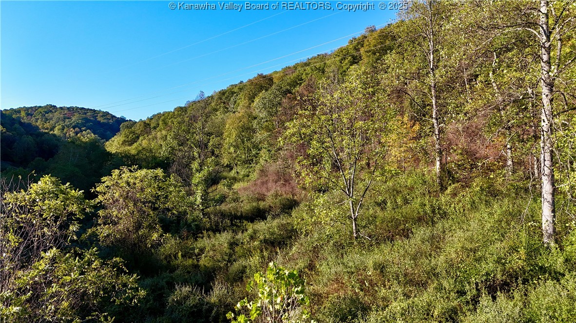 0 Harmons Creek Road Poca, WV 25159 - Photo 4 of 16 Gallery Image 4