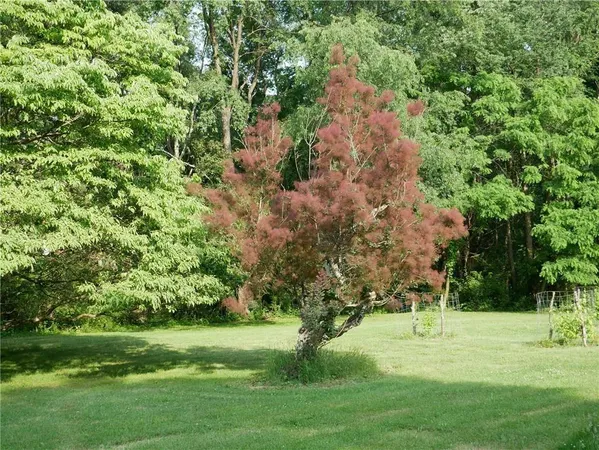 $2,000,000 | 143 Gracie Lane, Mars, PA 16046