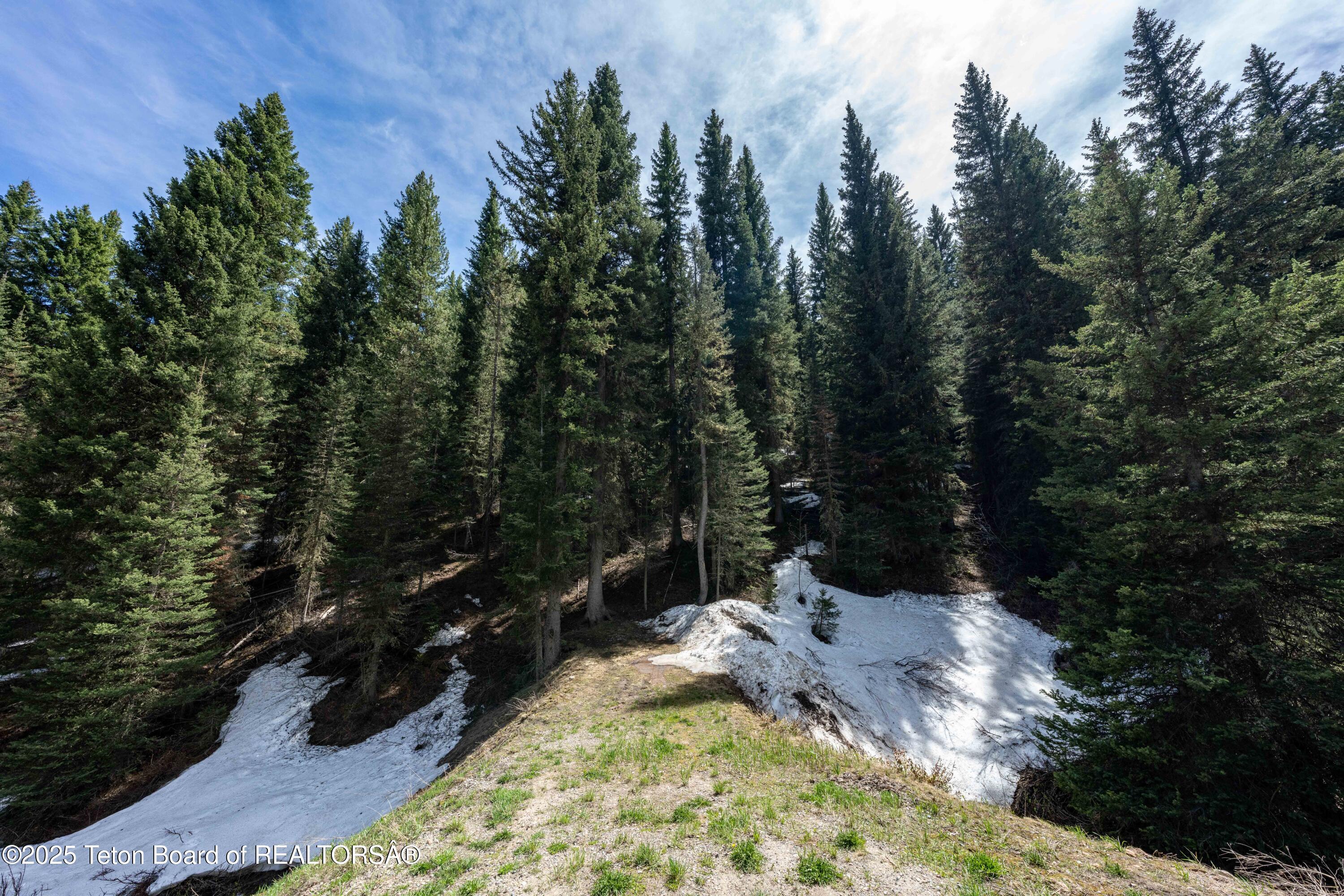 6600 Paintbrush Trail Wilson, WY 83014 - Photo 5 of 23 6600Paintbrush_JGPhoto-3