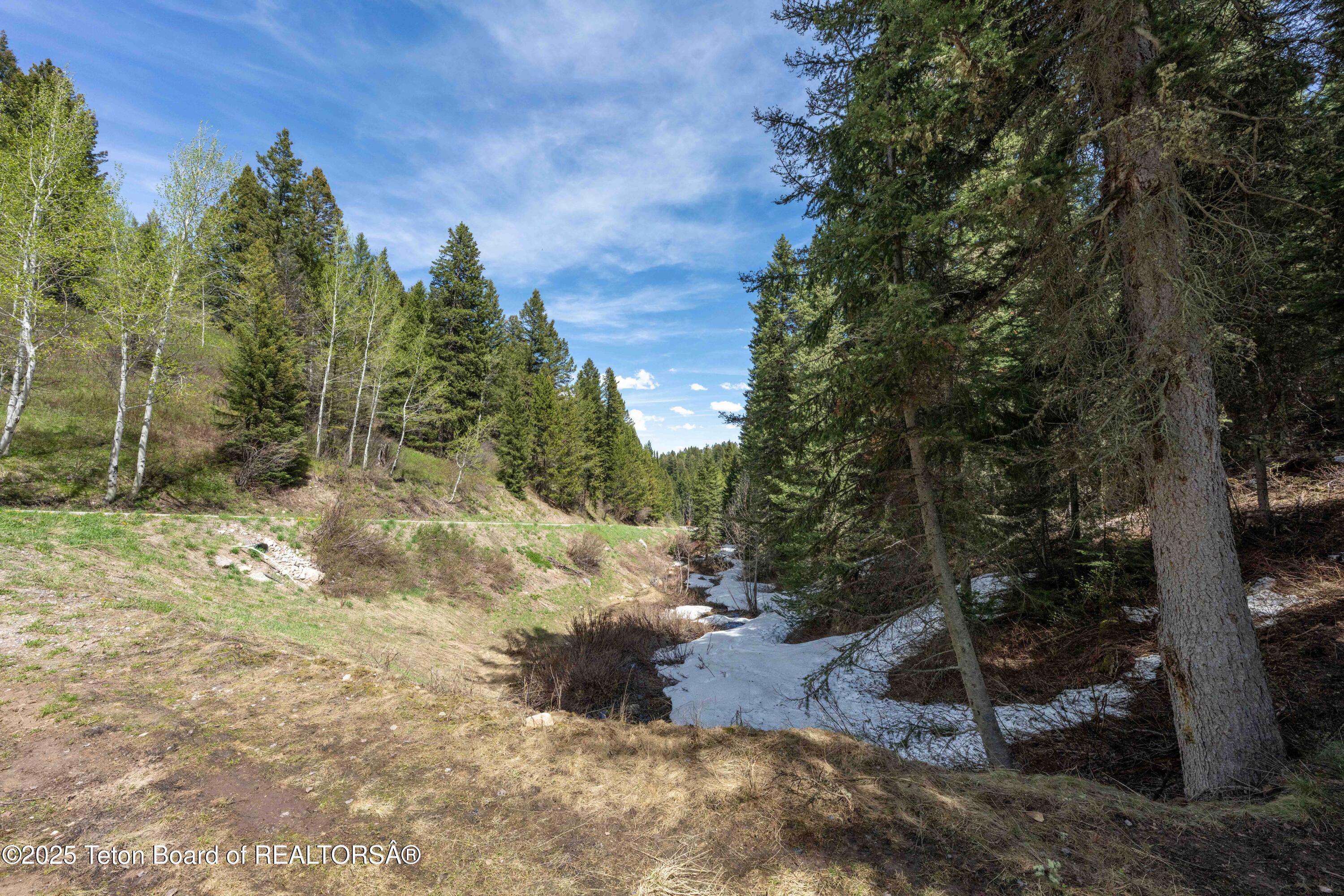 6600 Paintbrush Trail Wilson, WY 83014 - Photo 6 of 23 6600Paintbrush_JGPhoto-4