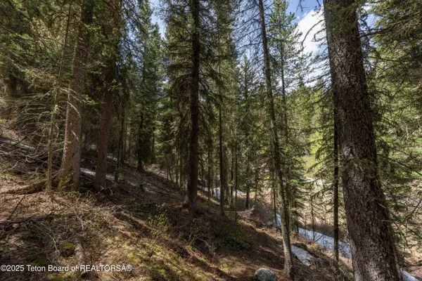 $995,000 | 6600 Paintbrush Trail, Wilson, WY 83014