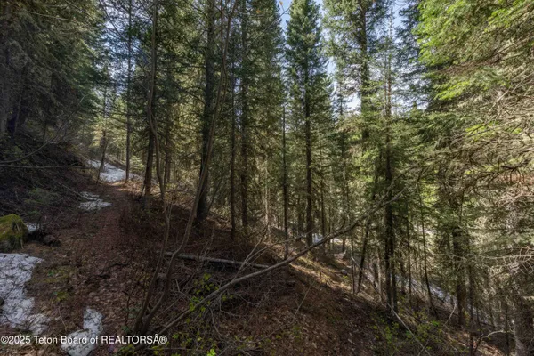 $995,000 | 6600 Paintbrush Trail, Wilson, WY 83014