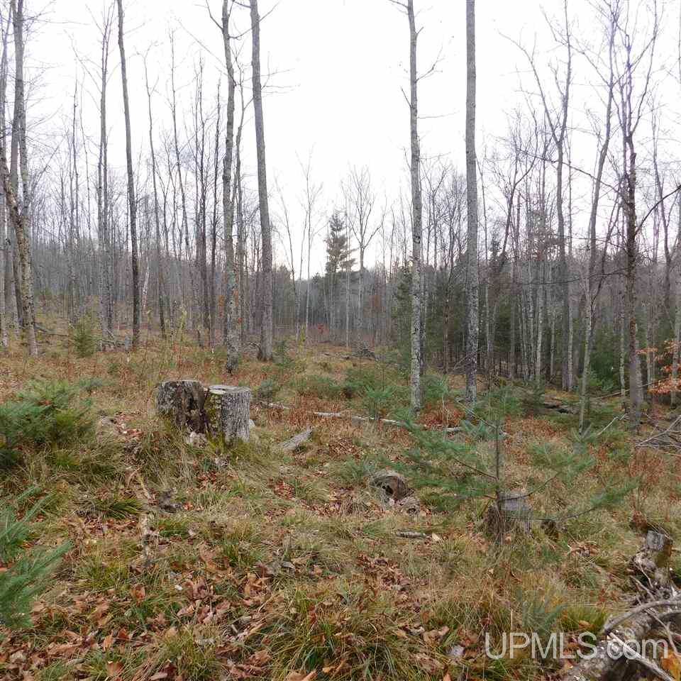 Tbd Bedard Road Vulcan, MI 49892 - Photo 10 of 28