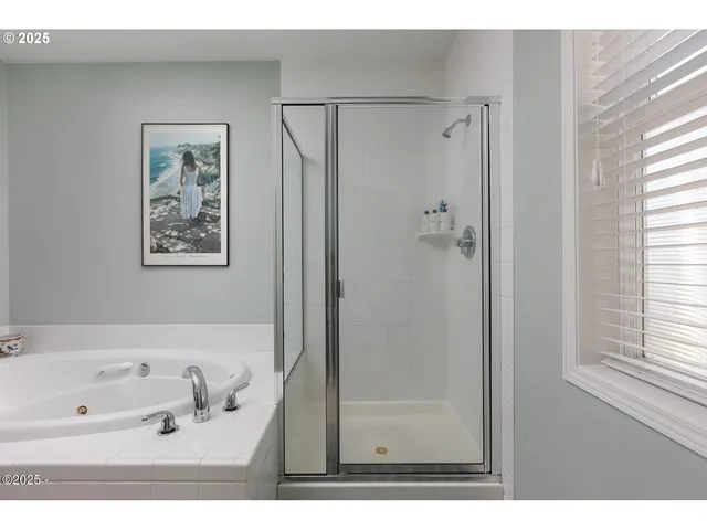 a bathroom with a bathtub and a shower