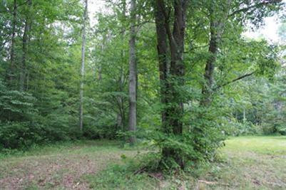 0 Millstone Road Clay City, KY 40312 - Photo 12 of 28 Photo 12
