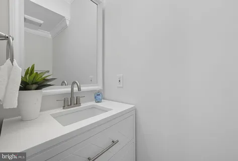 a bathroom with a sink and a potted plant