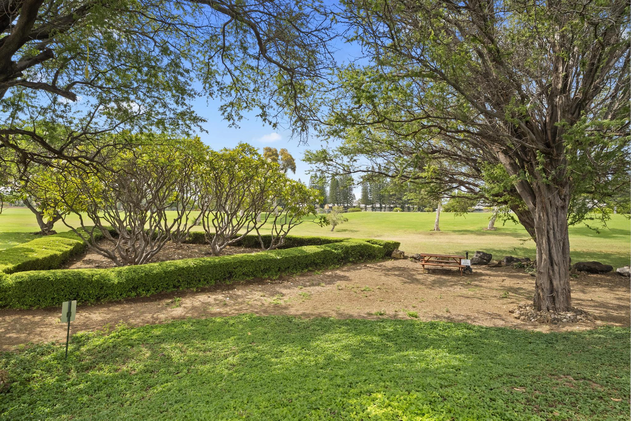 68-3831 Lua Kula Street, Unit E102 Waikoloa, HI 96738 - Photo 21 of 26 a view of backyard with green space