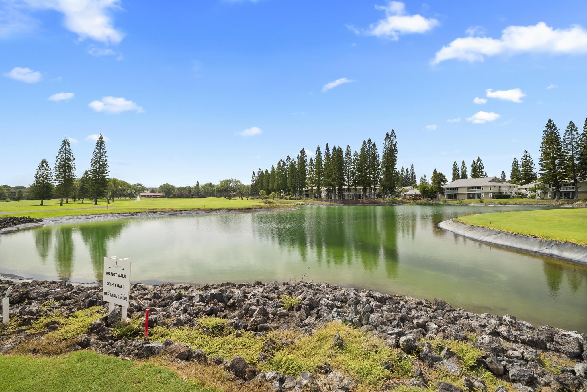 68-3831 Lua Kula Street, Unit E102 Waikoloa, HI 96738 - Photo 22 of 26 a view of a lake with houses