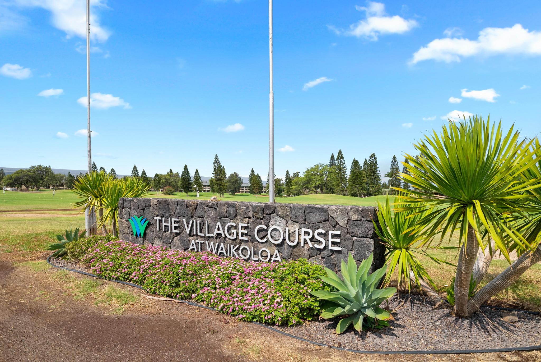 68-3831 Lua Kula Street, Unit E102 Waikoloa, HI 96738 - Photo 23 of 26 a view of a street with a palm tree