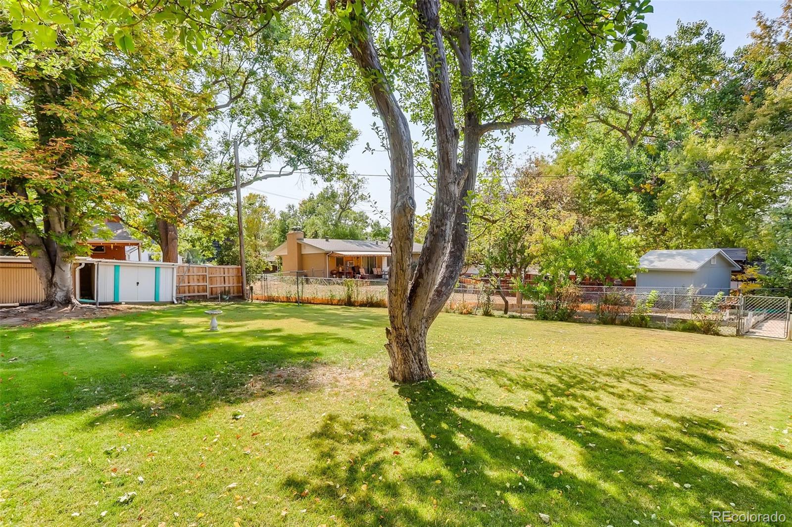 4459 Dover Street Wheat Ridge, CO 80033 - Photo 6 of 27 Gallery Image 6