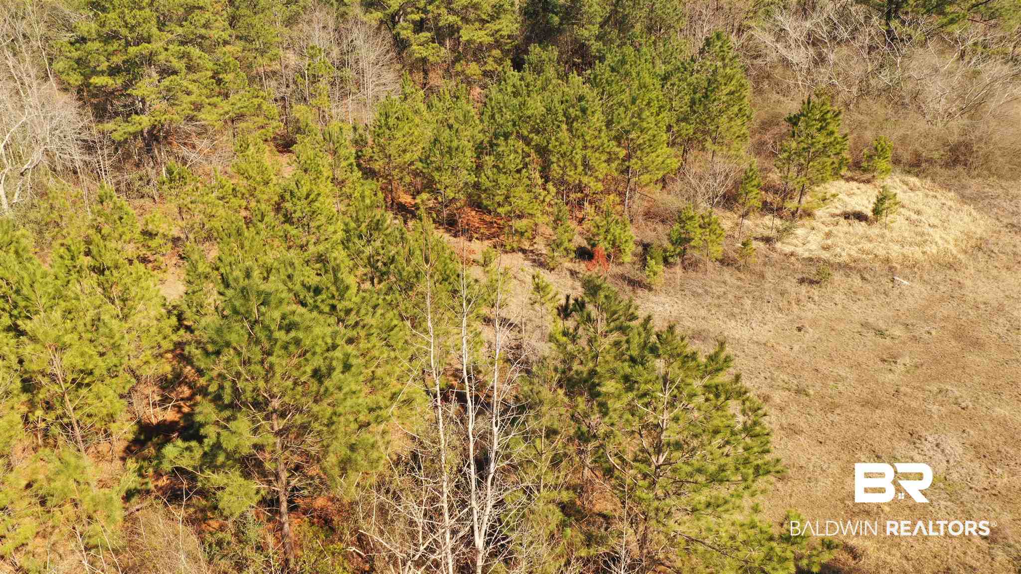 1 Moran Street Bay Minette, AL 36507 - Photo 13 of 18