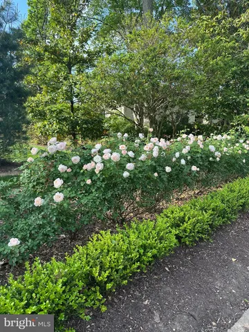 a picture of a city view