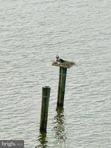 $3,995,000 | 3903 Belle Rive Terrace, Alexandria, VA 22309