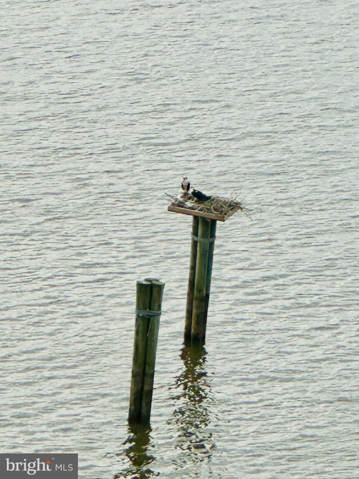 3903 Belle Rive Terrace Alexandria, VA 22309 - Photo 59 of 69