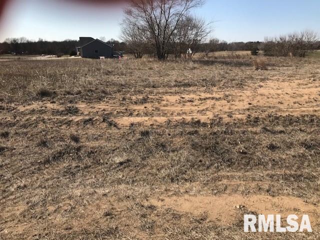 Lot 21 Hunter Ridge Road Fulton, IL 61252 - Photo 2 of 2