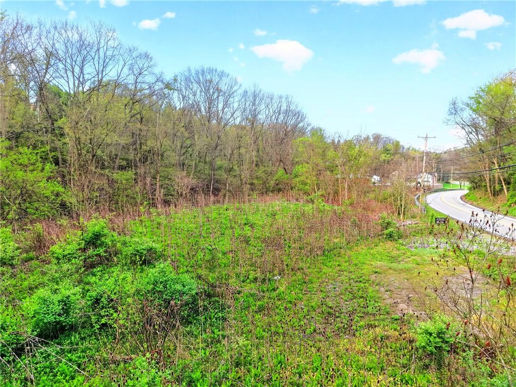 0 Clever Road McKees Rocks, PA 15136 - Photo 11 of 34 a view of a garden