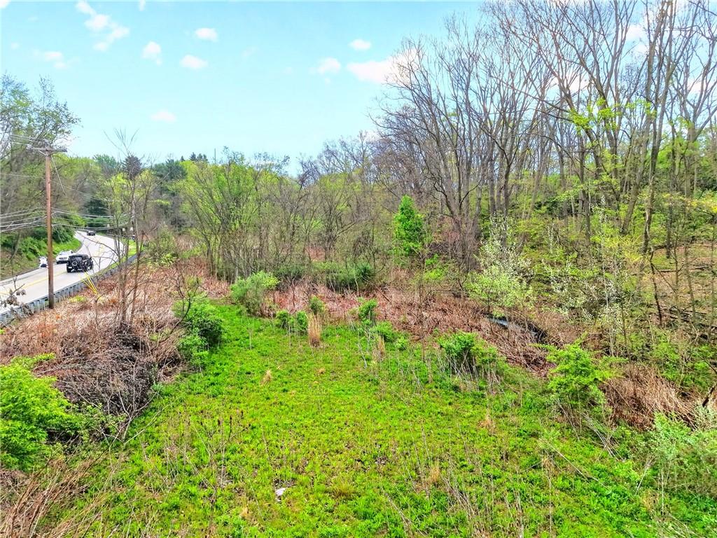 0 Clever Road McKees Rocks, PA 15136 - Photo 31 of 34 a view of a garden with plants and large trees